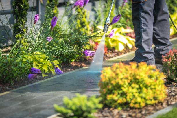 Best Pool Deck Cleaning  in Glens Falls, NY